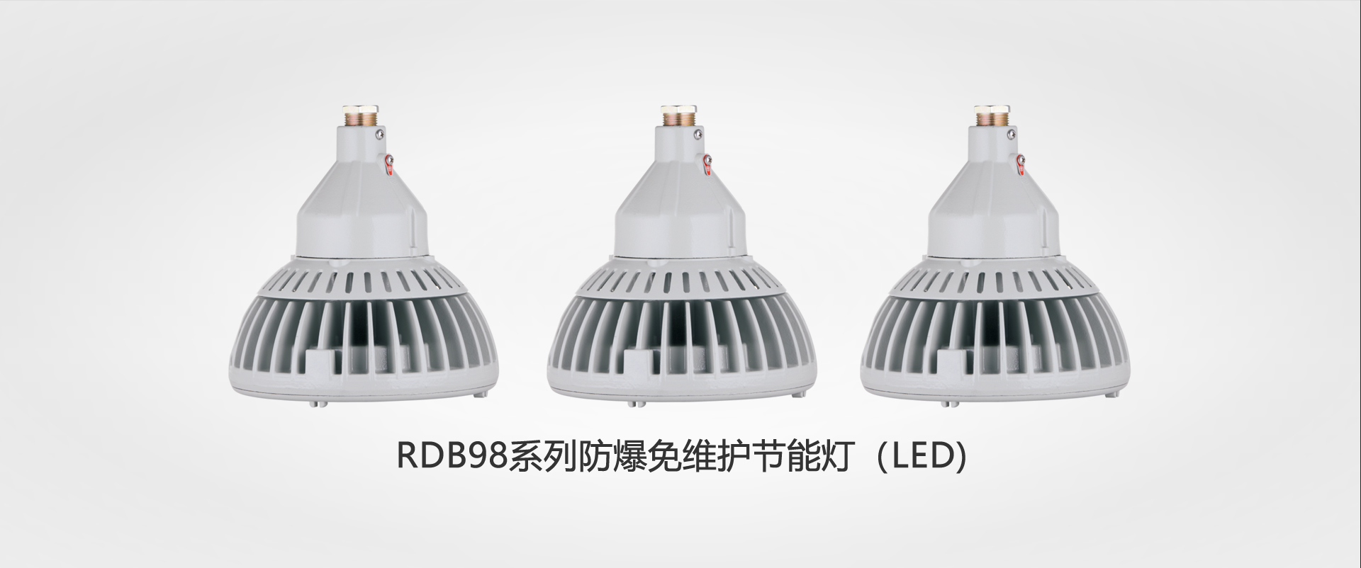 RDB98系列防爆免維護(hù)節(jié)能燈（LED)