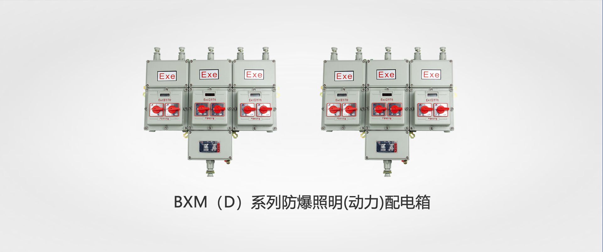 BXM（D）系列防爆照明(動(dòng)力)配電箱